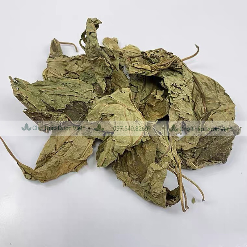 Lá dâu tằm khô 100g (Tang diệp)