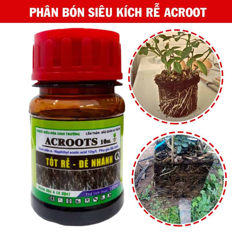 Combo Phân Bón Chăm Sóc Hoa Hồng Sau Ra Hoa