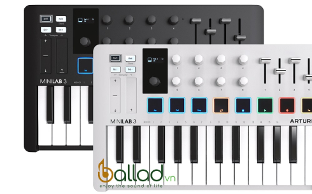 Combo Arturia MiniLab 3 và Pedal đảo cực