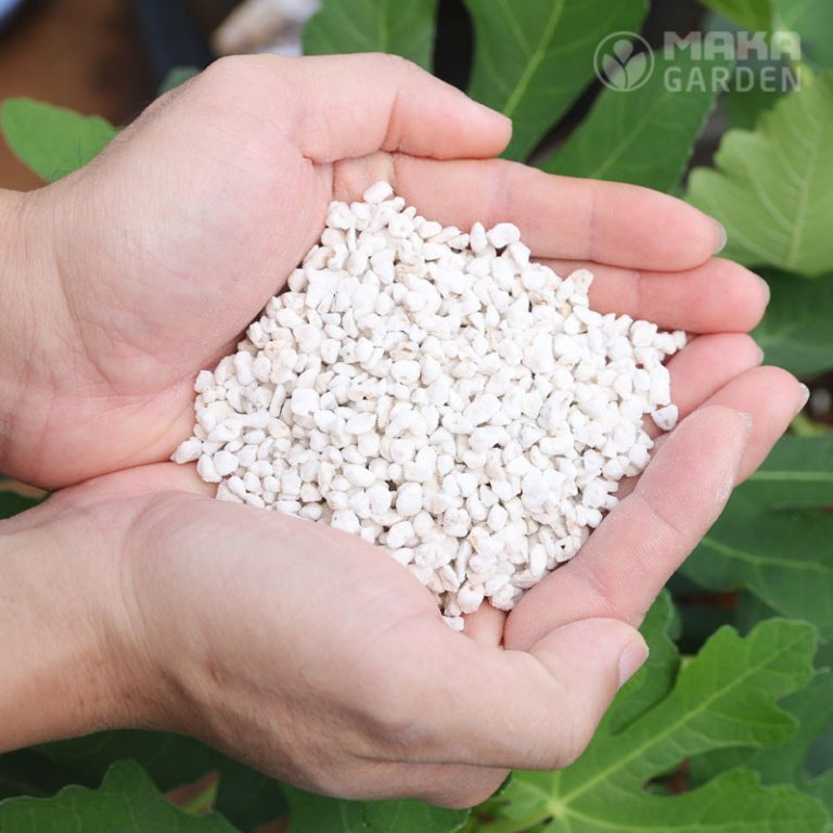 Đá Perlite Namix – Đá trân châu