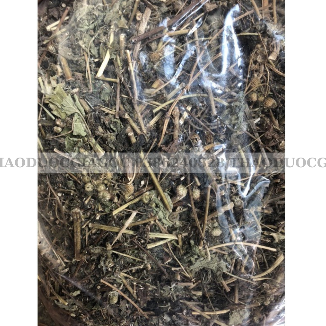 1Kg Cây Hoa Cứt Lợn phơi khô( Ngũ sắc)
