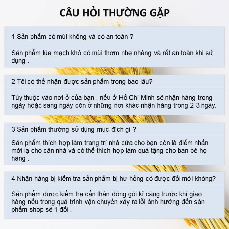 [CÓ QUÀ TẶNG] Bó Hoa Bông Lúa Mạch Khô Decor Trang Trí