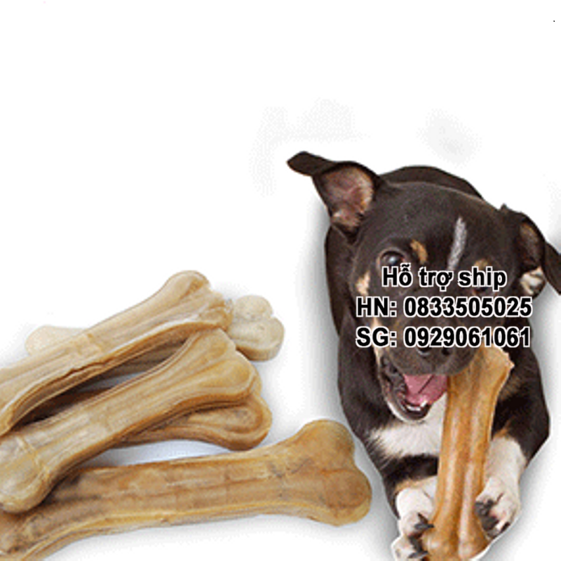 Hanpet - Bộ 2 Xương ống da bò cho chó gặm mỗi cái 10cm - phù hợp với chó trên 7kg ( 370)