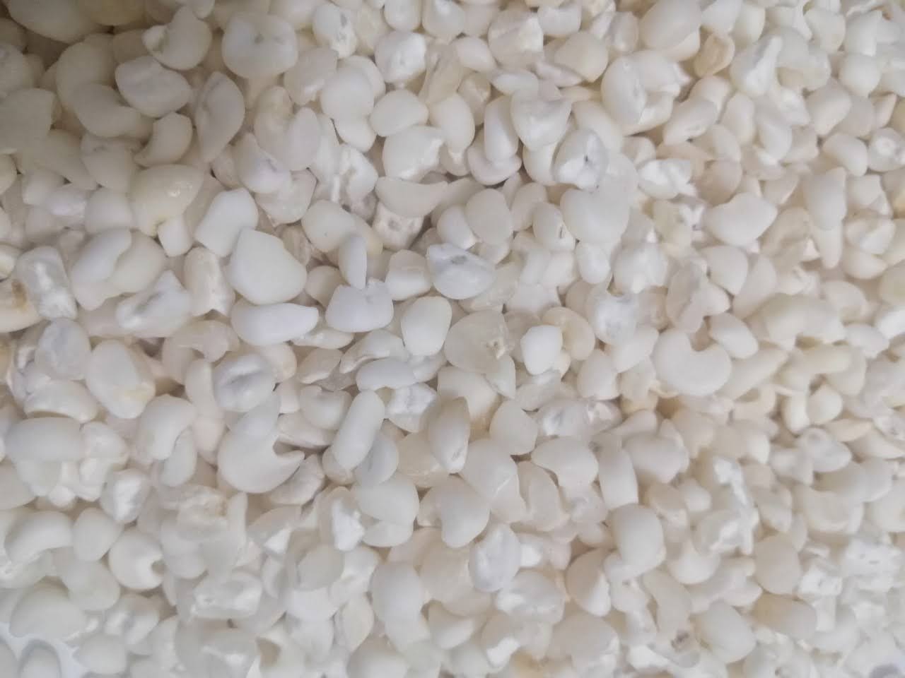 BẮP TRẮNG XAY 4 kg