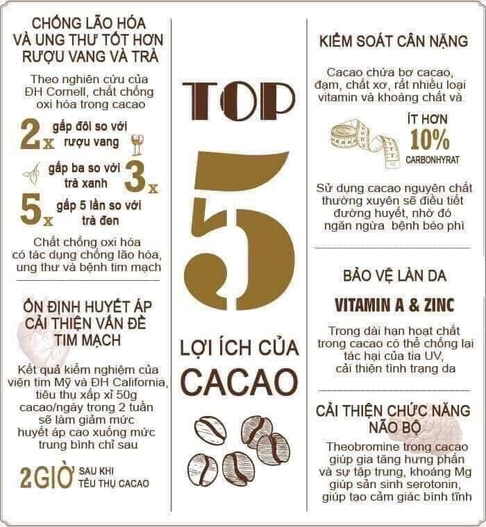 [500 GRAM] Bột cacao nguyên chất