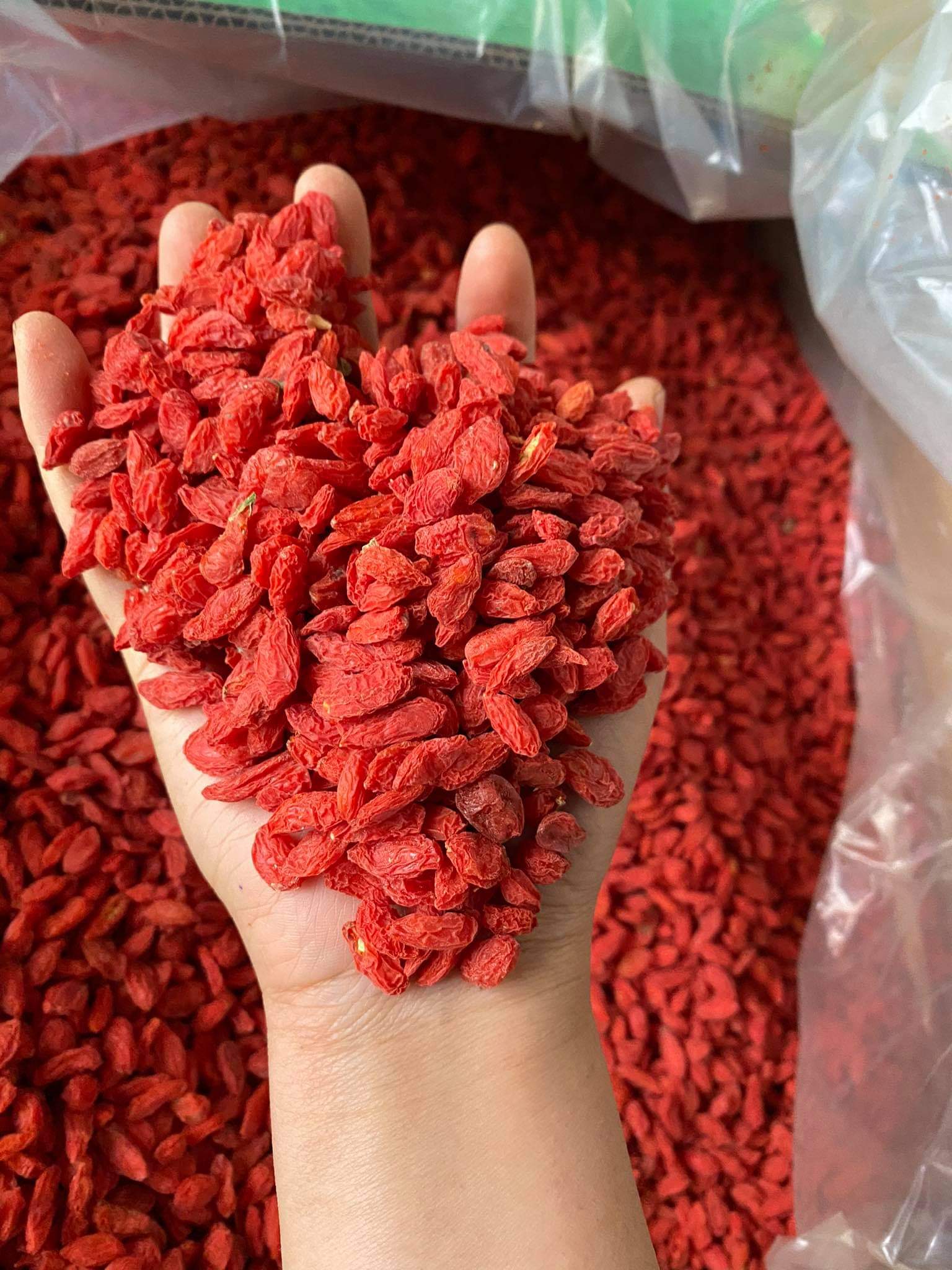 100gr hạt kỷ tử đỏ nguyên chất lương y