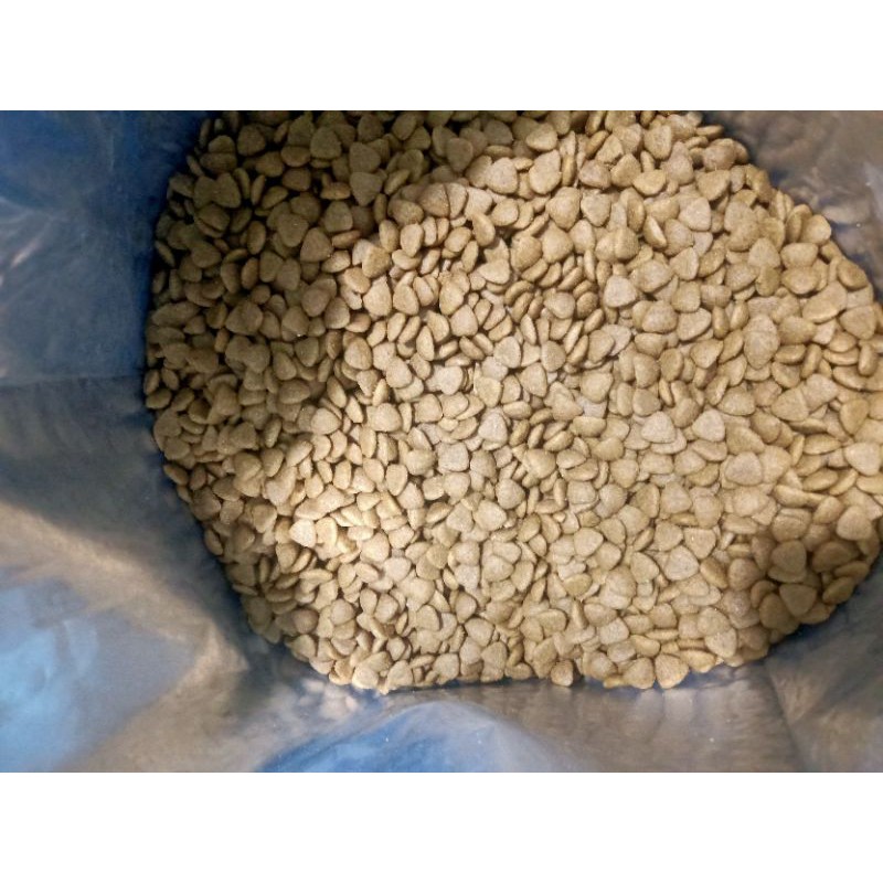 [HCM]hạt Catsrang cho mèo 78k 1kg