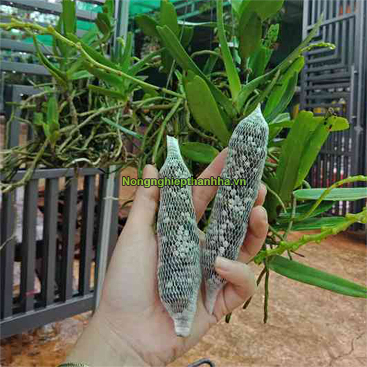 1Kg Túi lưới đựng phân dê - LNC