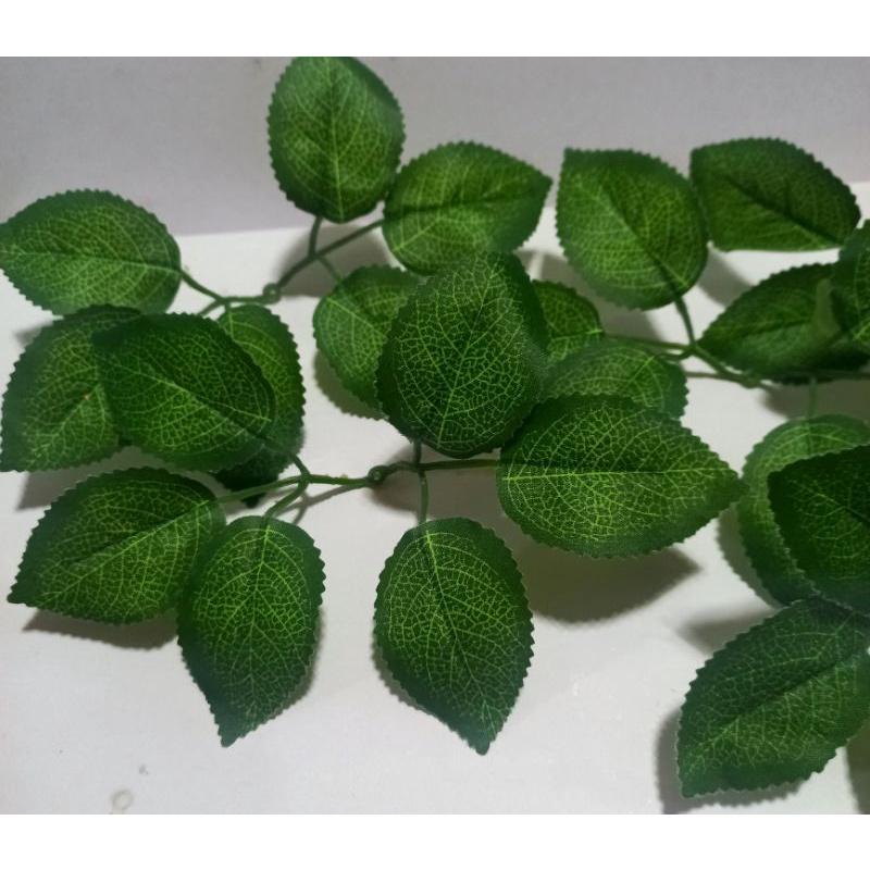 100g Lá hoa hồng vân