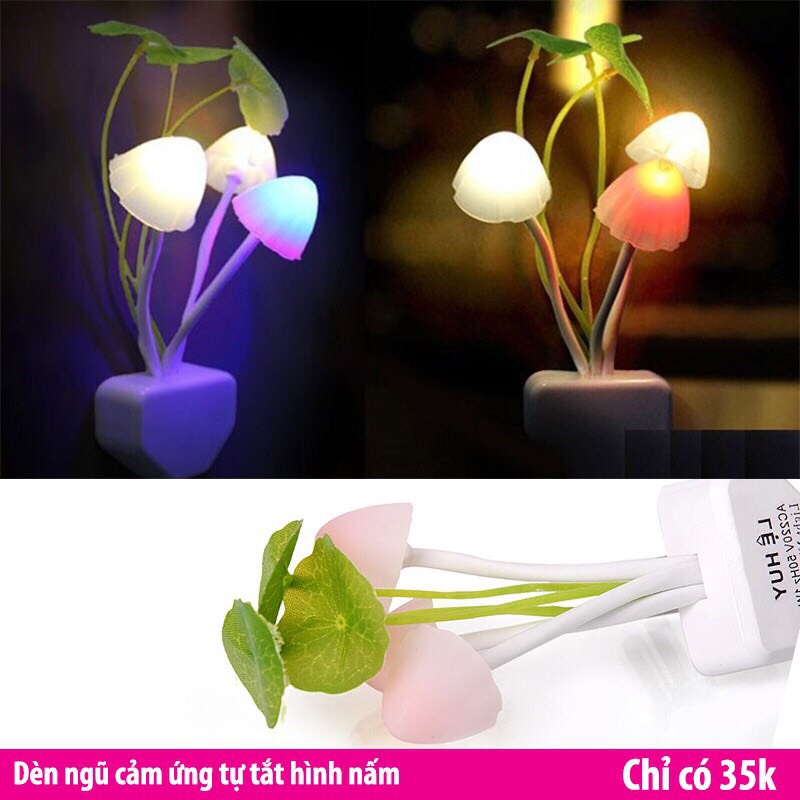 Đèn ngủ hình nấm siêu xinh