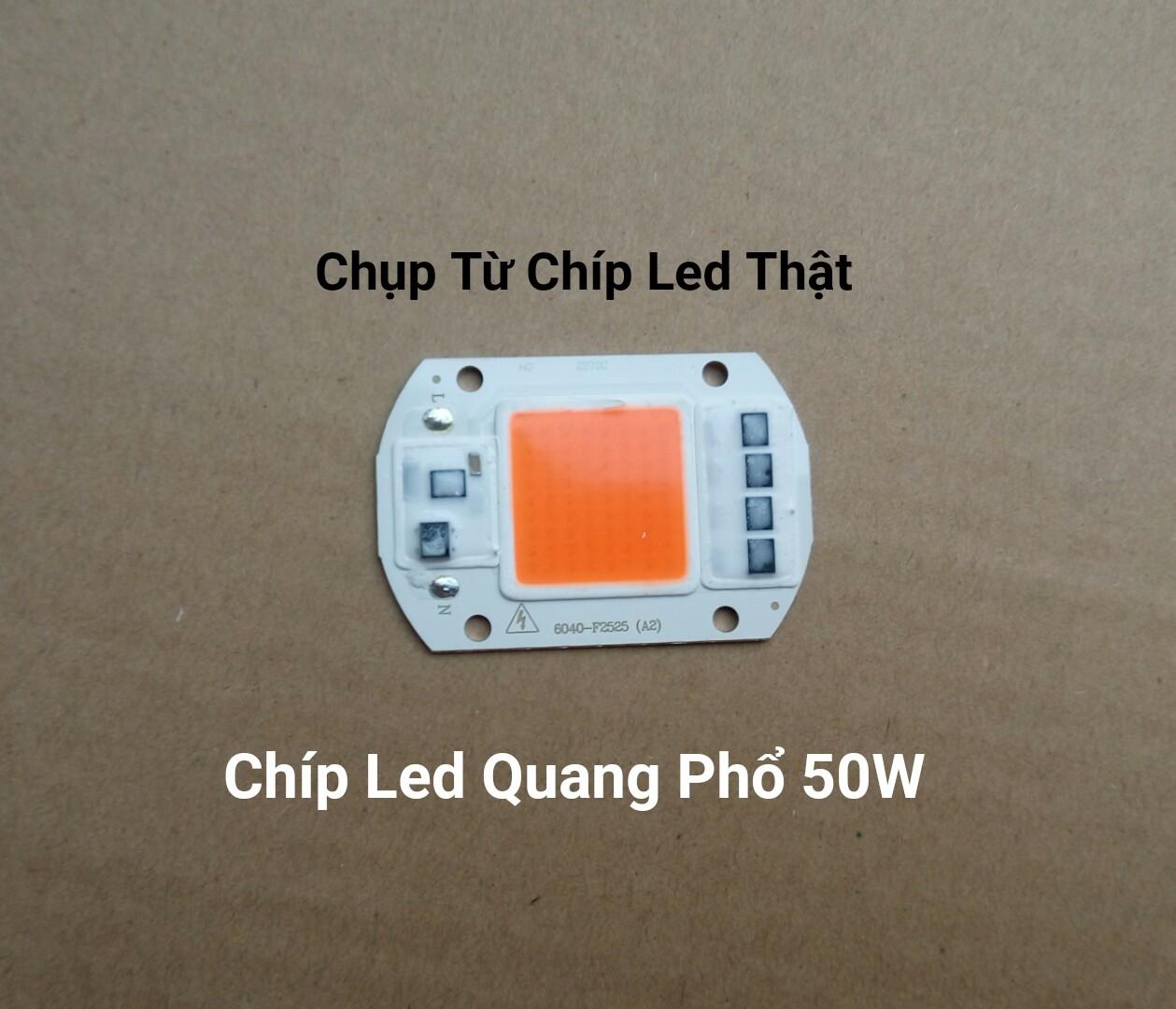 Chíp Led Quang Phổ Trồng Cây 220V 50W