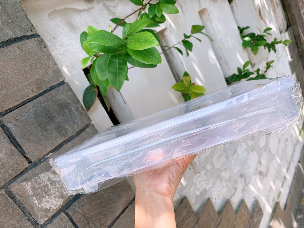 HỘP ĐỰNG TRỨNG 24 QUẢ