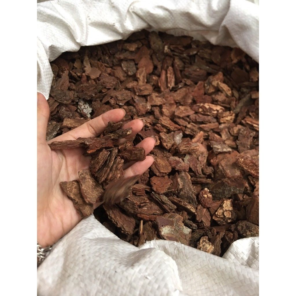 Túi 1kg Vỏ Thông Xay Bo Size 2-3cm