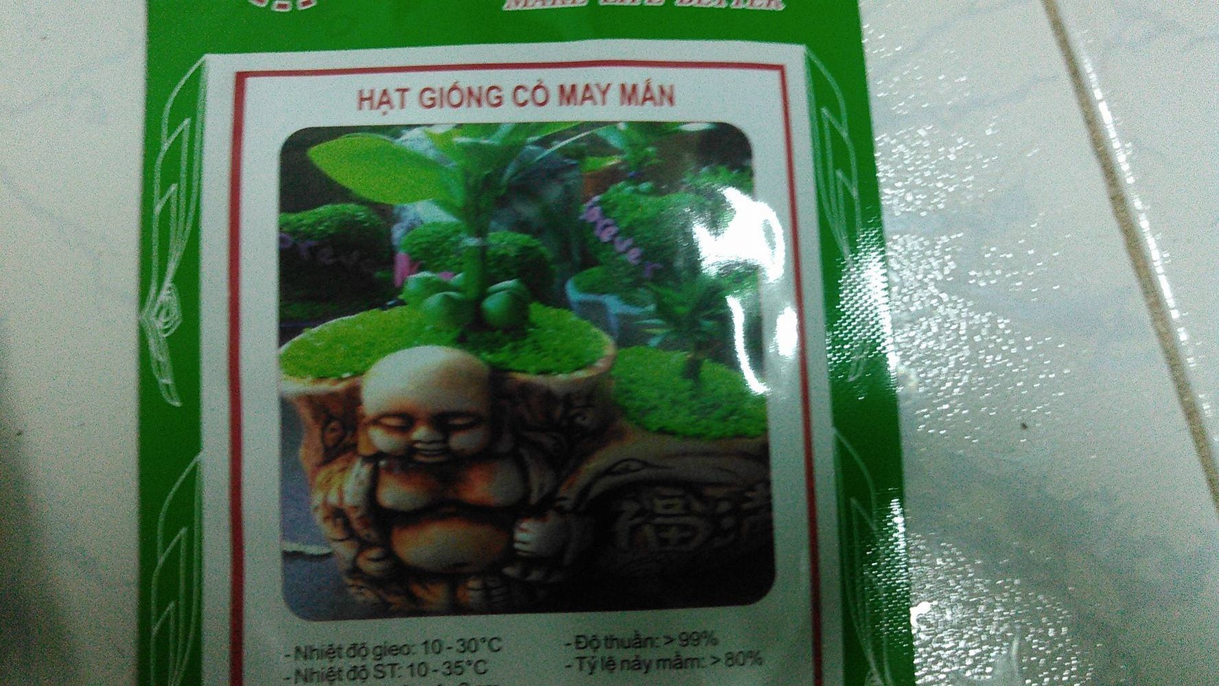 Hạt giống Cỏ may mắn - gói 1gr ( 100 hạt )