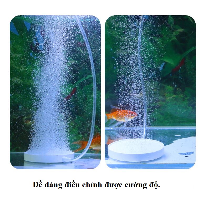 Đầu sủi oxi hình dĩa siêu mịn jeneca (tặng phụ kiện)