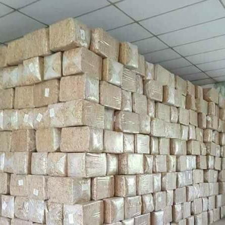 Dớn Mềm Chile - 100gr