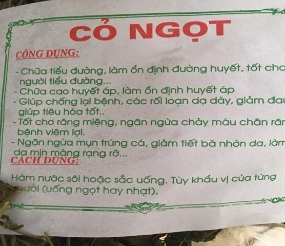 Trà Cỏ Ngọt 1kg