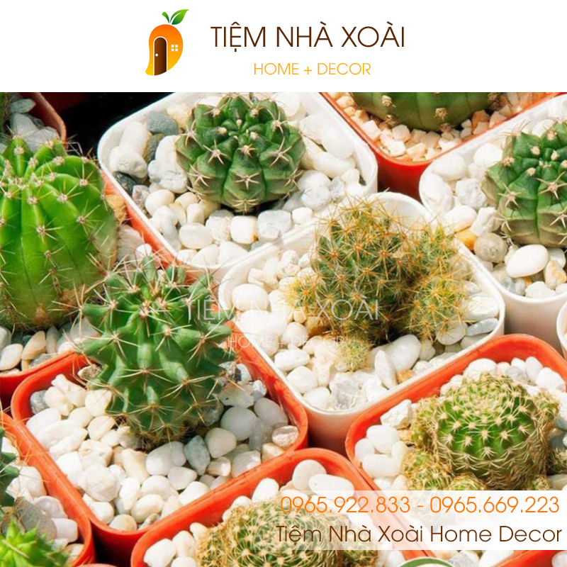 Sỏi Trắng Trang Trí (cỡ trung) chậu cây, lọ hoa, bể cá cảnh