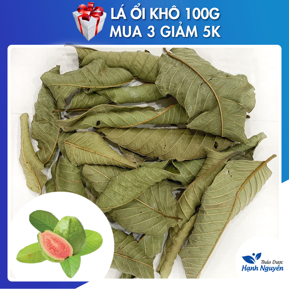 Lá ổi khô giảm cân 100g - thảo dược hạnh nguyên