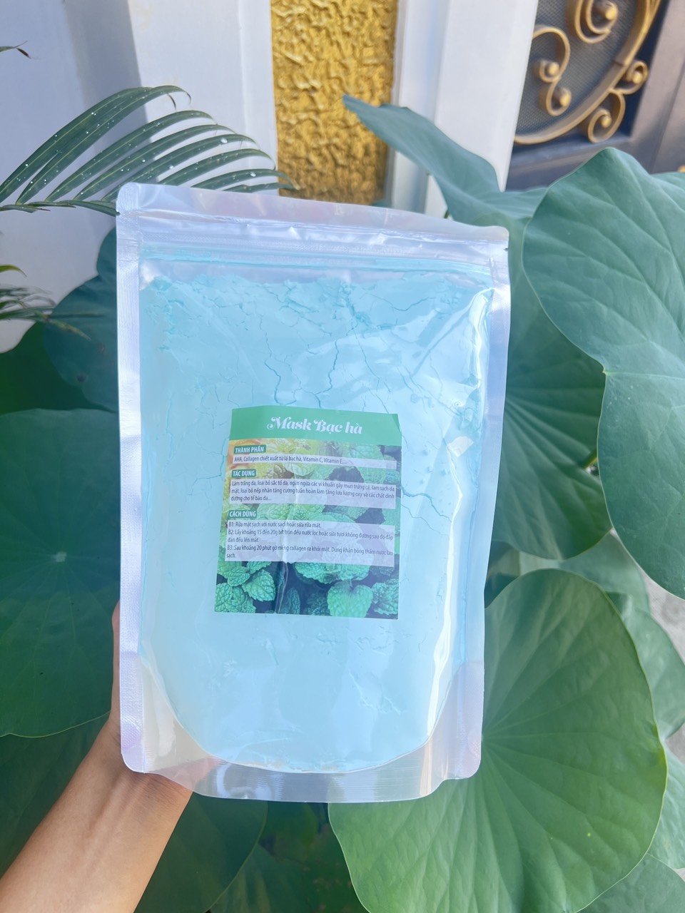 [HCM]Bột Bạc Hà - Bột đắp mặt nạ bạc hà cao cấp / gói 1 kg