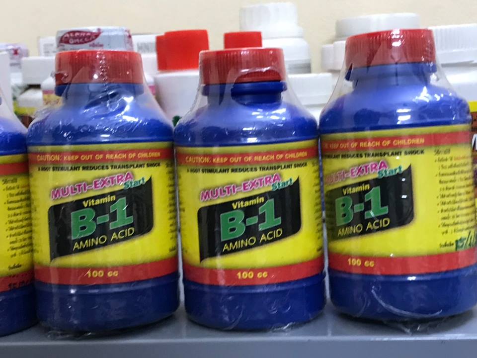 FUJI START VITAMIN B1 Chai 100ml