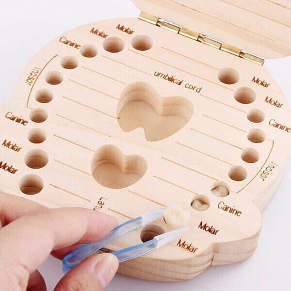 Hộp lưu trữ răng sữa cho bé - 2771