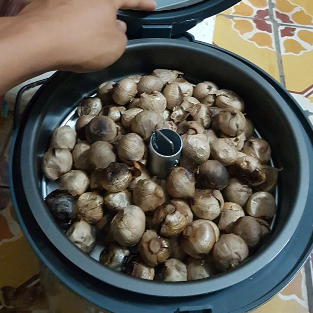Máy làm tỏi đen gia đình Tiross TS908 (Màu bạc)