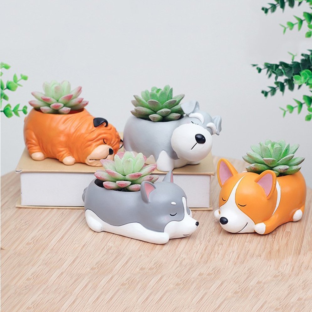 Chậu cây Corgi ngủ say R7A7N6