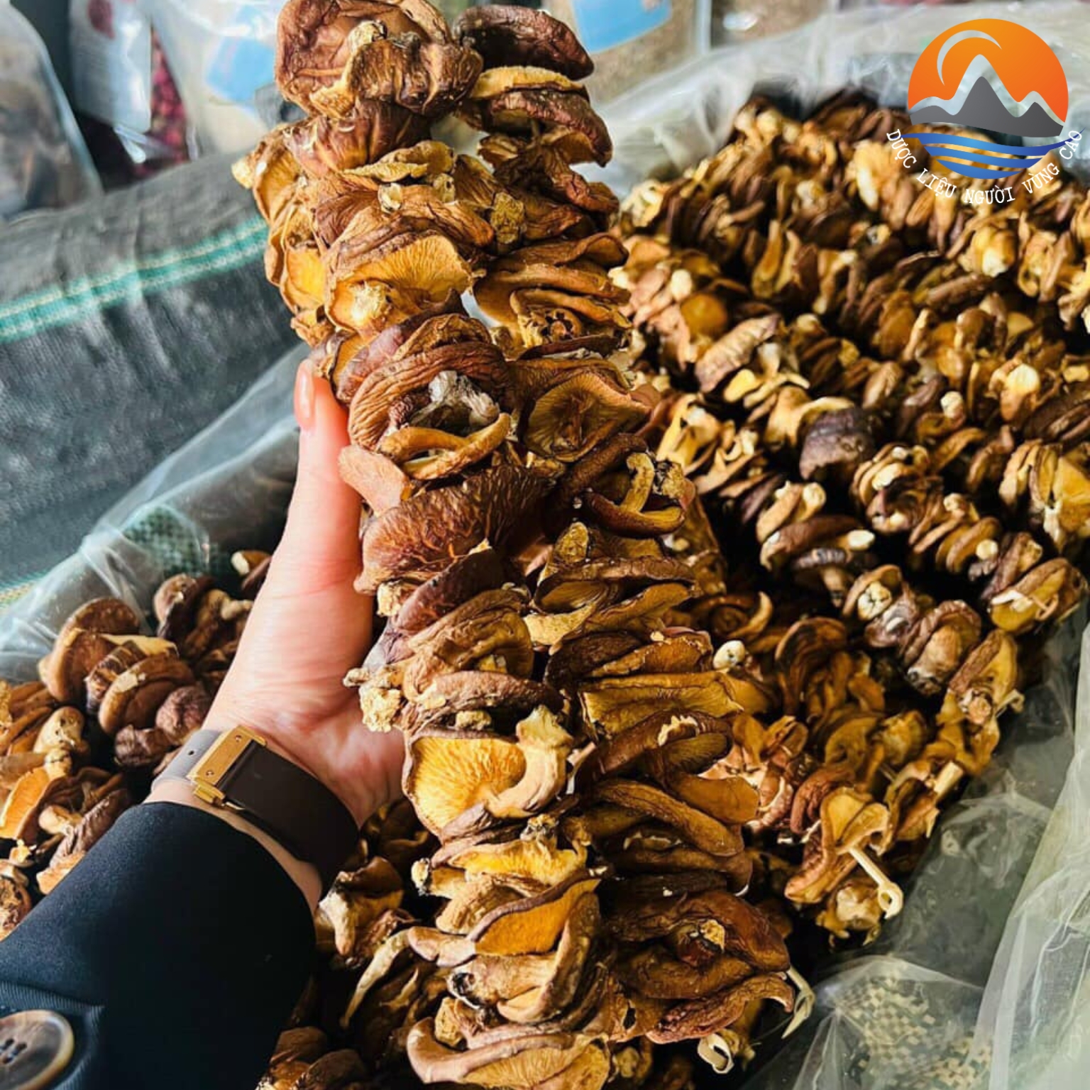 Nấm hương rừng Tây Bắc, nấm đông cô, nấm hương rừng xiên que phơi khô tự nhiên