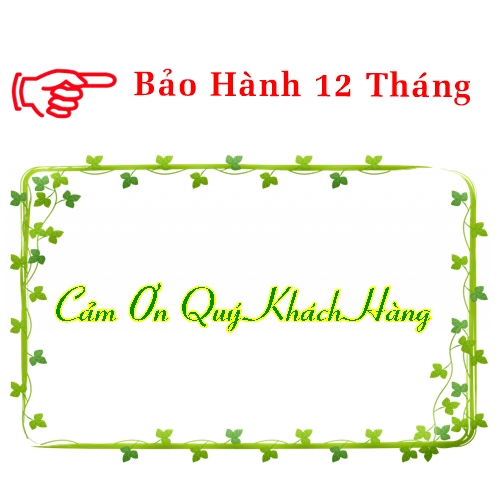 Túi 5 Hạt Đu đủ bonsai . Hạt Giống Chất Lượng Cao
