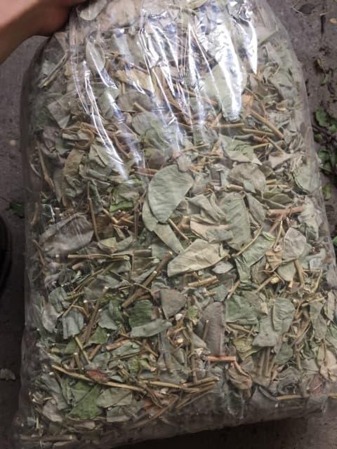 Kim Tiền Thảo Khô 500g