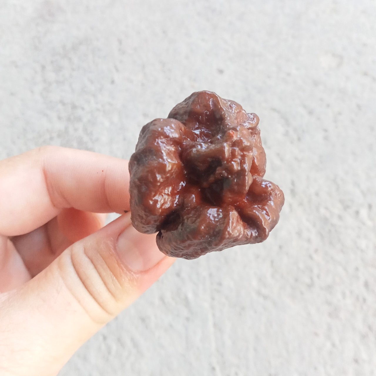 3 Hạt Ớt 7 Pot Chocolate