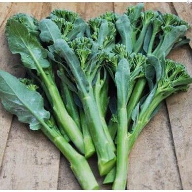 02 gói Phân bón sinh học BIMA - chế phẩm nấm đối kháng TRICHODERMA gói 1Kg