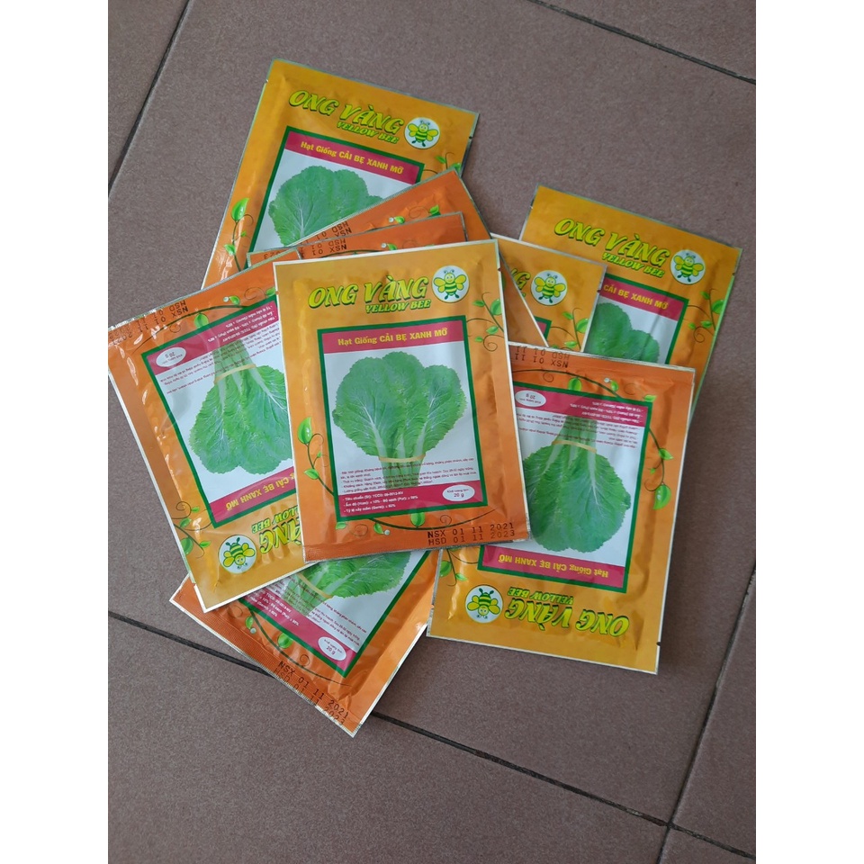Hạt Giống Cải Bẹ Xanh Mỡ, 1 gói 20gr