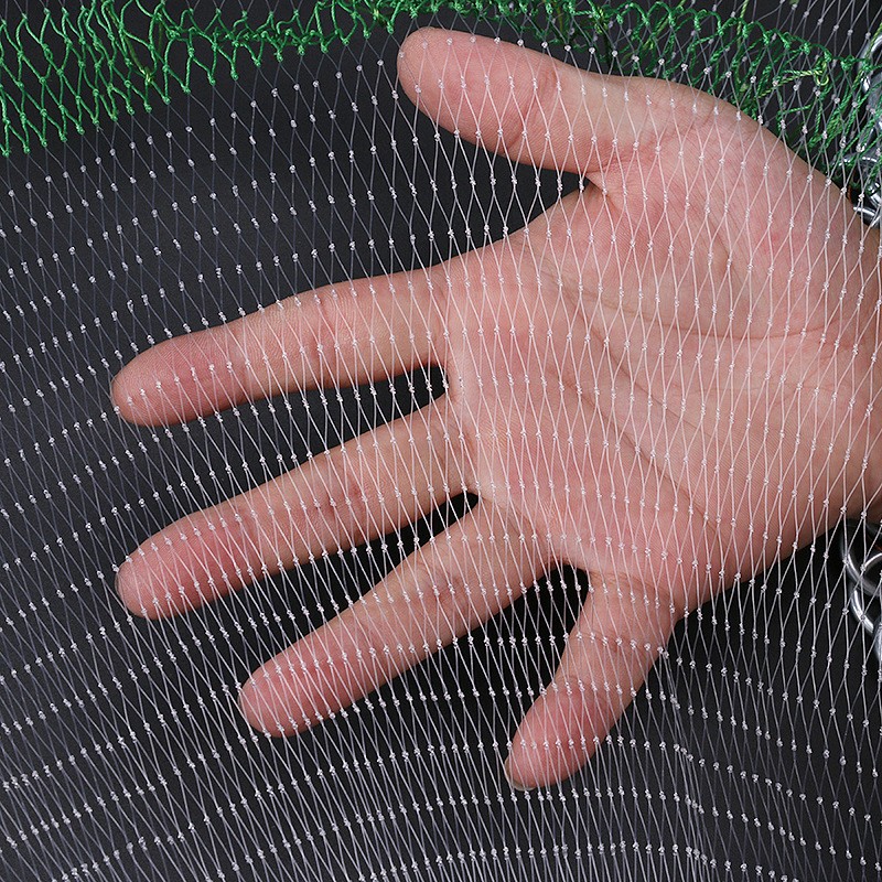 Chài cá - Chài Cước rút đĩa bay UFO