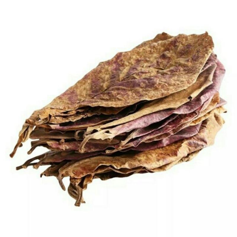 10 Lá bàng khô- Lọc bể cá cảnh.