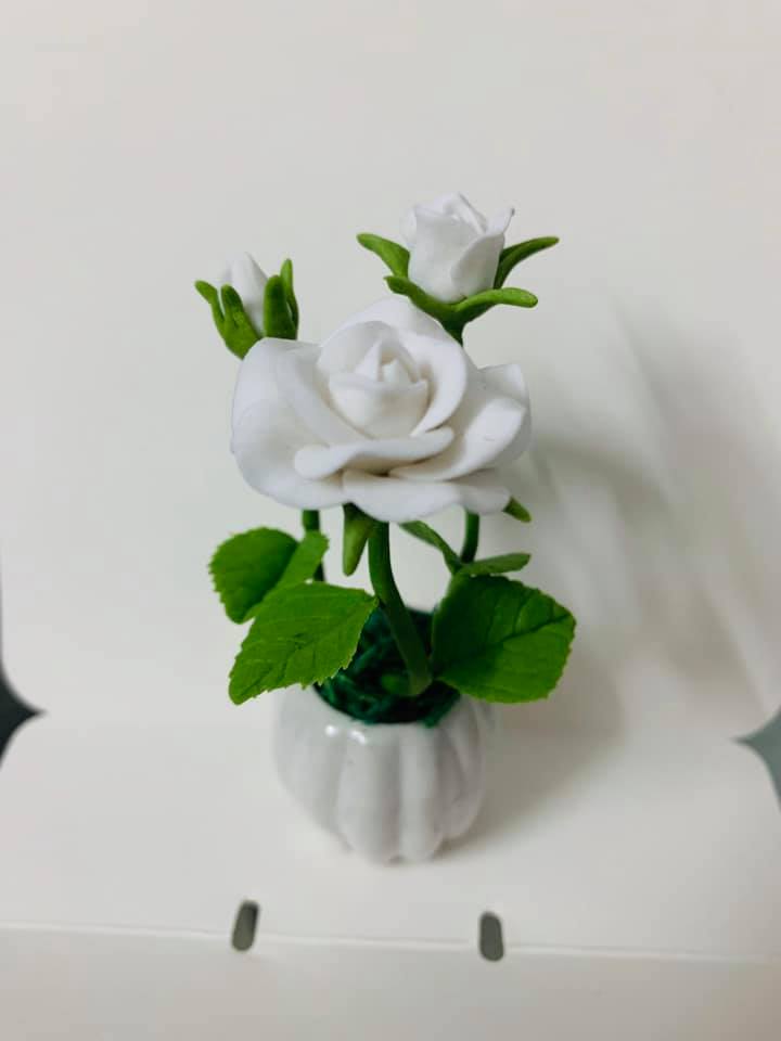 Chậu hoa đất sét mini
