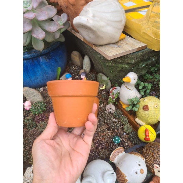 Combo 10 chậu đất nung Bình Dương ly gờ sz 7x6