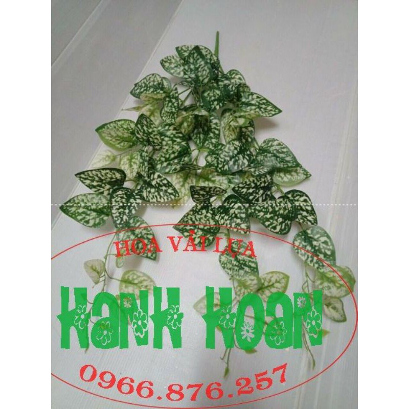 Bụi rủ lá 3 nhánh - cây cỏ giả
