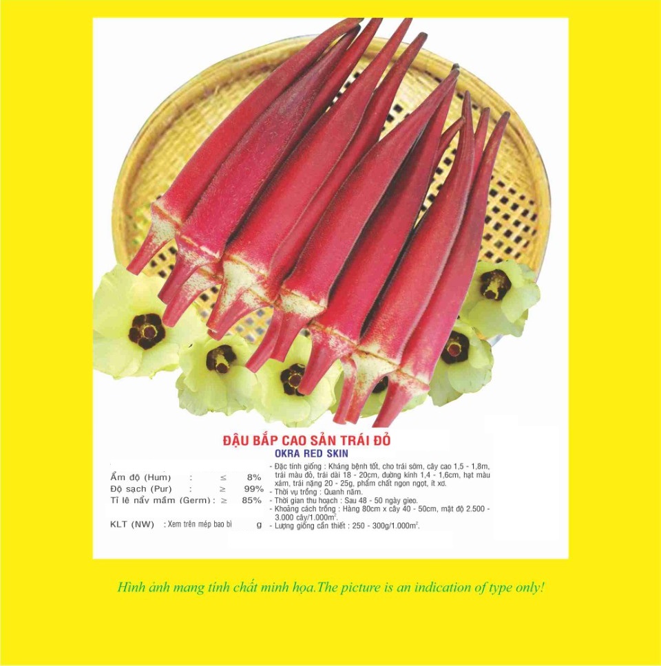 Hạt giống Đậu Bắp đỏ cao sản VTP39 | Vạn Tín Store