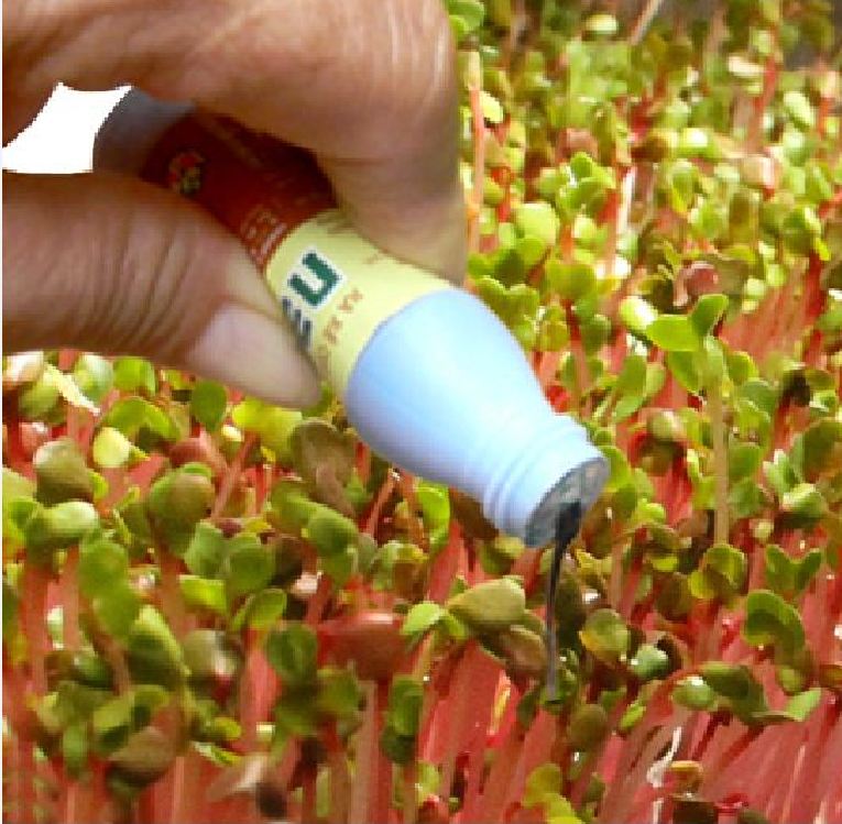 Dung Dịch N3M Kích thích ra rể cực mạnh - lọ 20ml [Seeds]