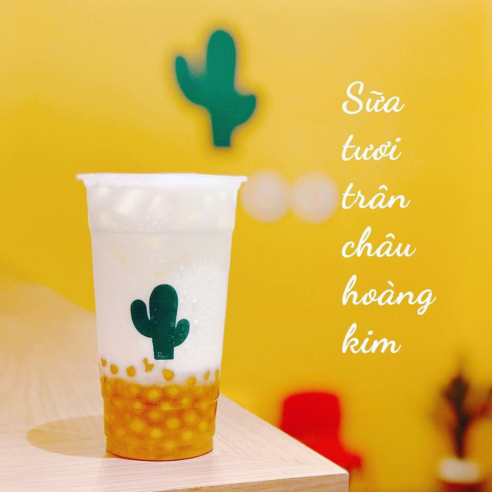 1KG Trân Châu King Thái Lan- Hoàng Kim Tapioca