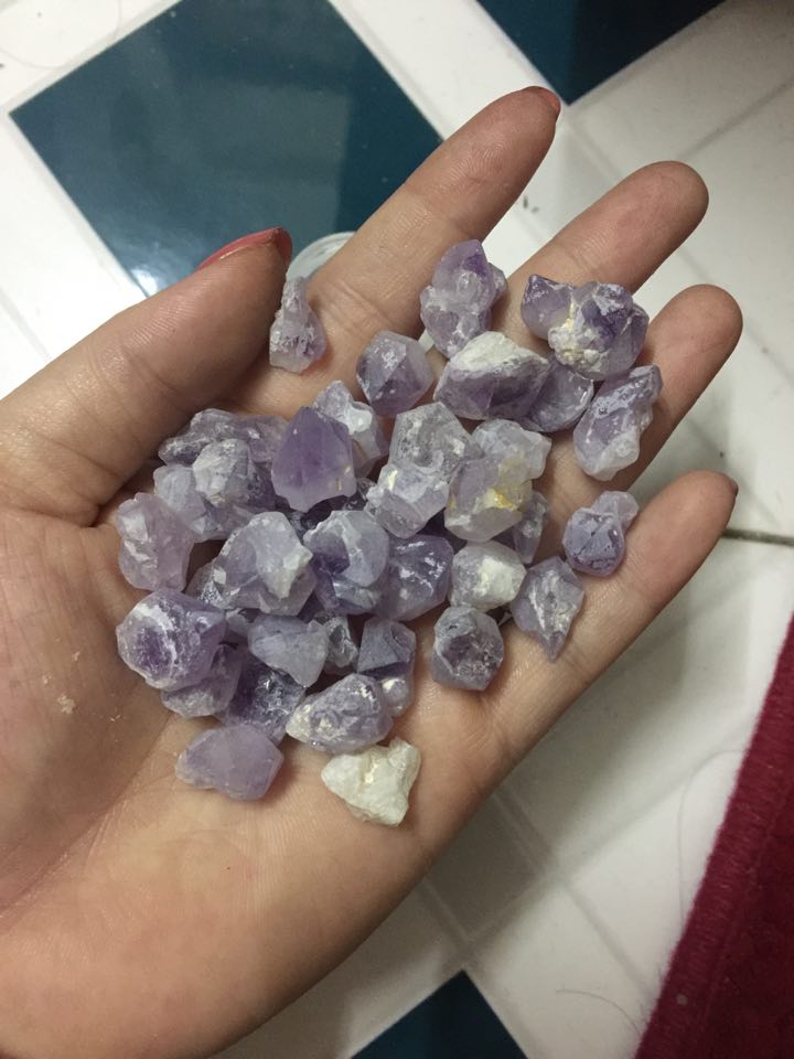Mầm tím thô - Cáo Mèo Béo shop