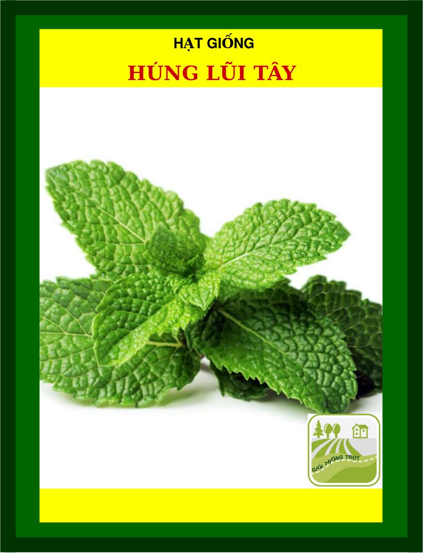 Hạt Giống Rau Húng Lũi Tây - 3090 Hạt