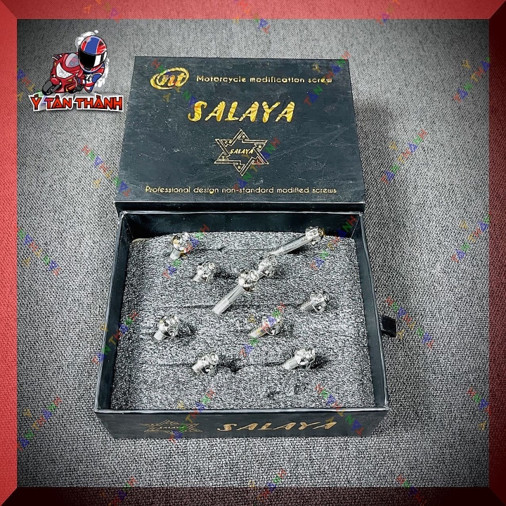 Bộ Ốc Lốc Máy Salaya Vario,click 125 10 Con