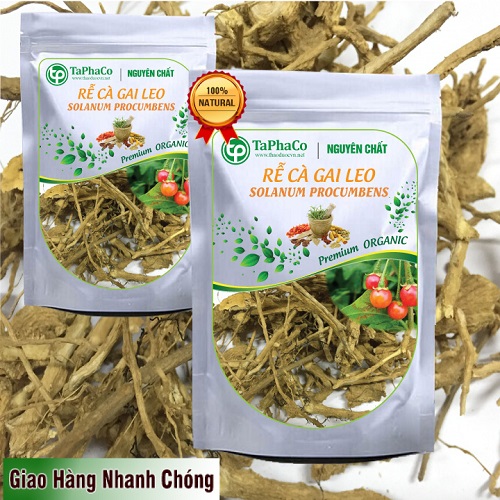 Rễ cà gai leo sấy khô 500g - Thảo Dược Tấn Phát