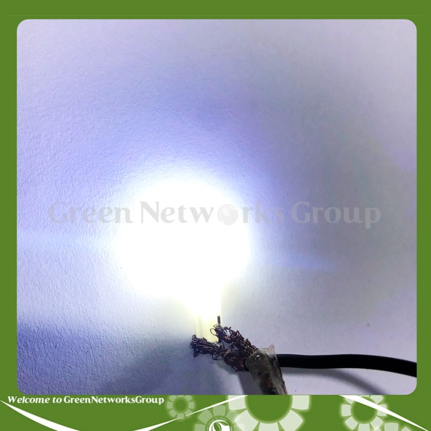 Đèn led BÁO SỐ chân T 6.5 WAVE -1 Bóng Greennetworks