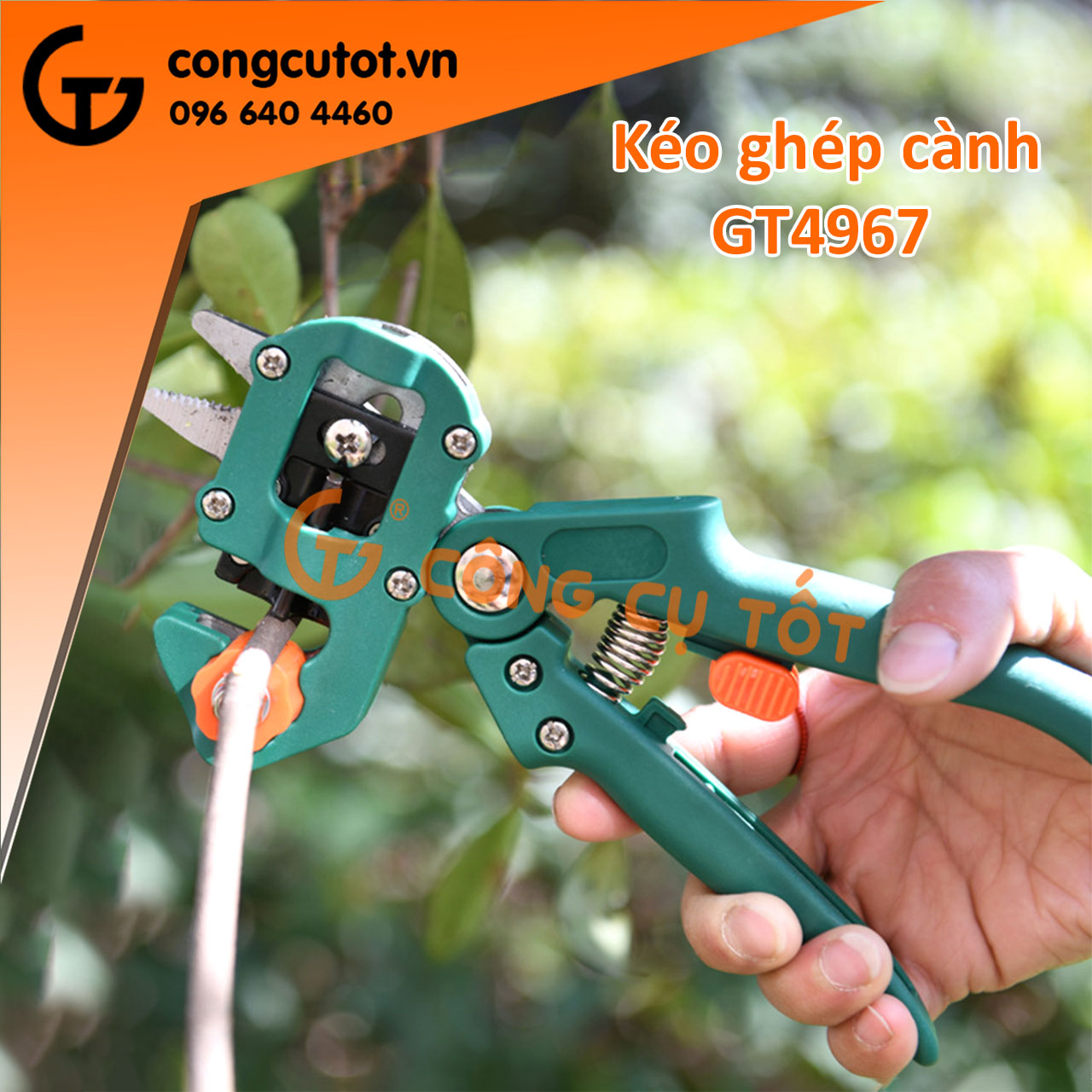 Kéo ghép cành cây