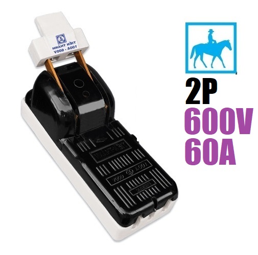 Cầu Dao Điện Cao Cấp 2 Pha 2P 60A 600V
