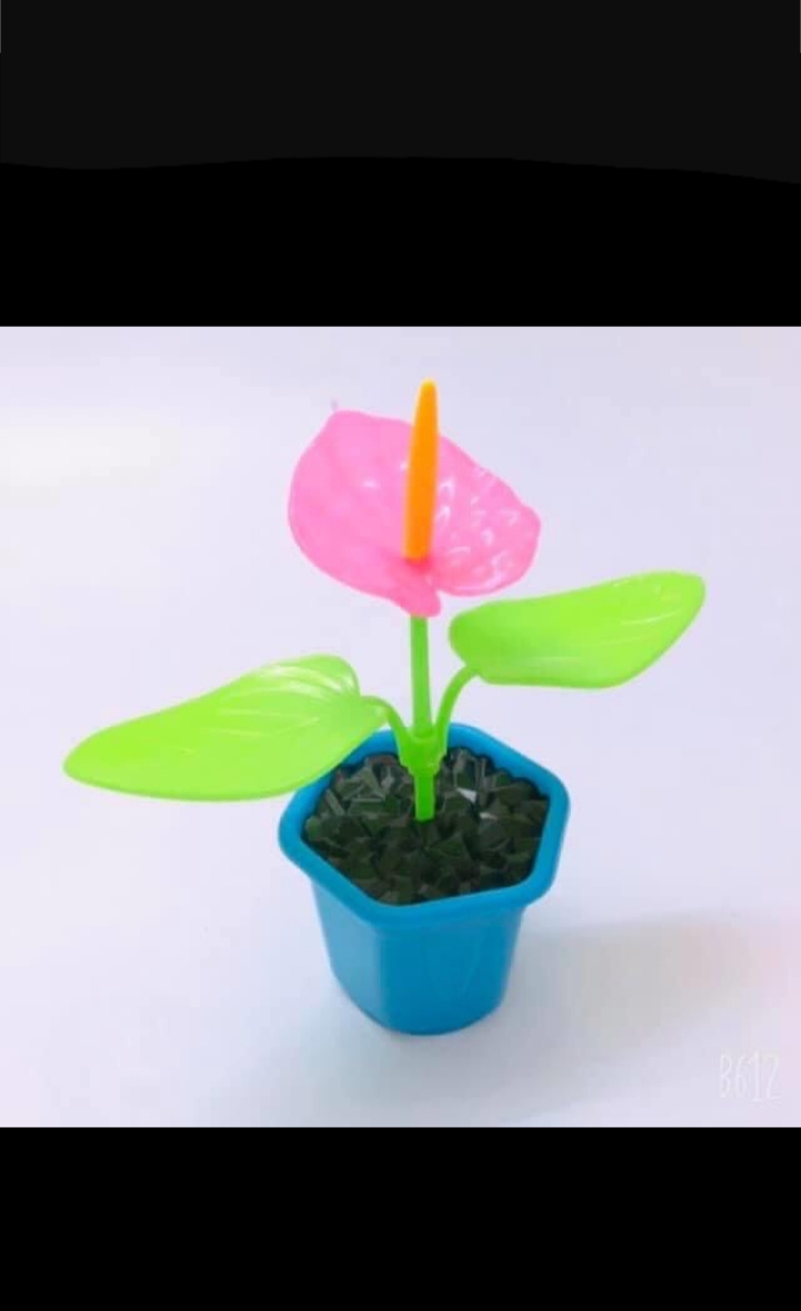 Đồ chơi  vỉ làm vườn trồng cây cho bé